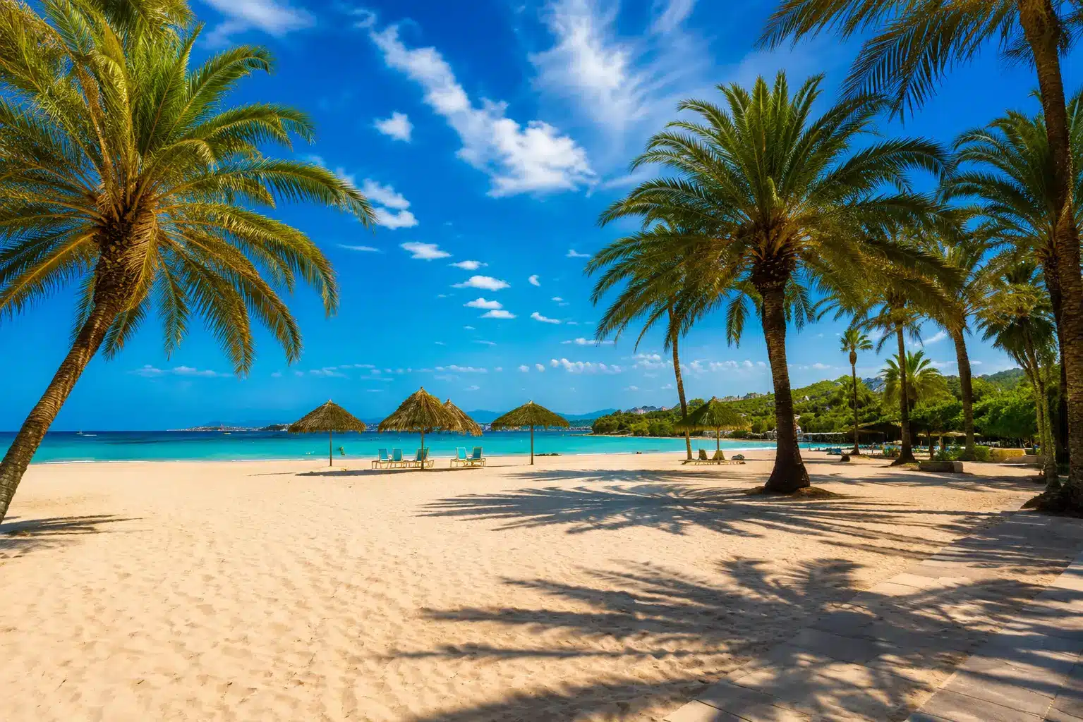 Direktflug Mallorca — Strand mit Palmen und türkisblauem Wasser